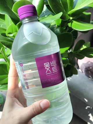 몽베스트 MONTBEST 1L 12입 — 5점을 준 리뷰어가 2022년 3월 올린 사용 사진