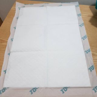 아베크 펫 와이드 프리미엄 중형 애견 강아지 배변 패드 54매 1팩 45g — 5점을 준 리뷰어가 2021년 7월 올린 사용 사진