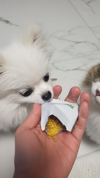 찌니님이 올린 리뷰 사진 4