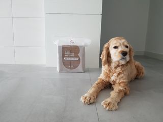찬이애비님이 올린 리뷰 사진 1