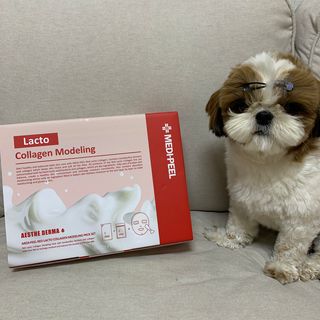 박코끼리님이 올린 리뷰 사진 1