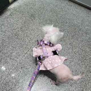 댑빵이님이 올린 리뷰 사진 1