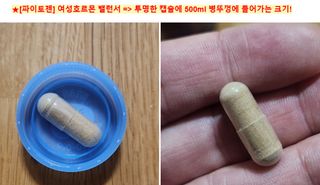 MF[로얄 캐네디언]파이토젠 — 5점을 준 리뷰어가 2023년 9월 올린 사용 사진