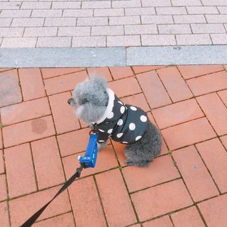 nami103님이 올린 리뷰 사진 3