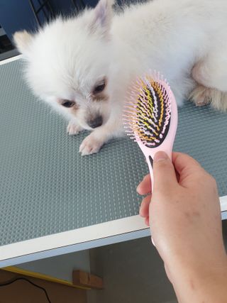 태훈맘님이 올린 리뷰 사진 3