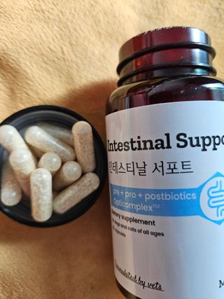 쭈야님님이 올린 리뷰 사진 1