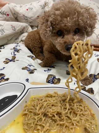 파이님이 올린 리뷰 사진 2