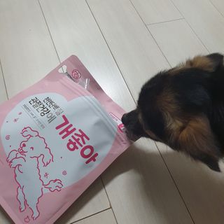 My Pet Care 천연단백질 관절건강에 개좋아 — 5점을 준 리뷰어가 2021년 2월 올린 사용 사진