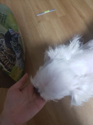 김고양이님이 올린 리뷰 사진 4