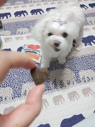 두부님이 올린 리뷰 사진 3