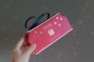 엘리샤코이 테트라포스 홀리데이 에디션 — 5점을 준 리뷰어가 2020년 12월 올린 사용 사진