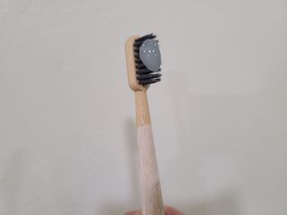 토이님이 올린 리뷰 사진 2