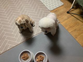 분홍봉구맘님이 올린 리뷰 사진 4