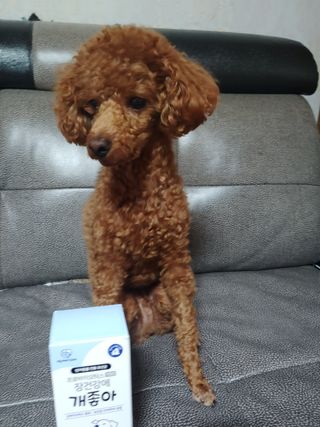 너구리양님이 올린 리뷰 사진 3