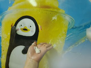 블리스펭님이 올린 리뷰 사진 1