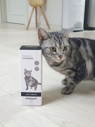 mini unni님이 올린 리뷰 사진 1