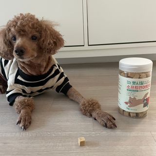 [펫시밀] 원물그대로 영양듬뿍 진공동결건조 북어트릿75g,치킨트릿100g,연어트릿75g 강아지 고양이 간식 — 5점을 준 리뷰어가 2023년 5월 올린 사용 사진