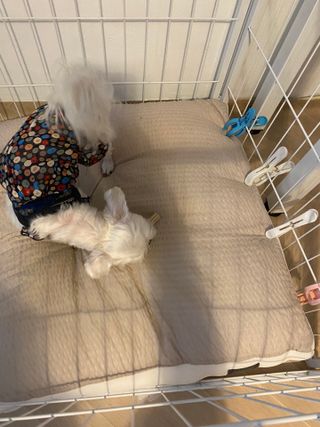 단발소녀님이 올린 리뷰 사진 4