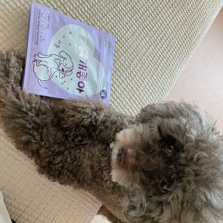 My Pet Care 천연단백질 치아건강에 개좋아 — 5점을 준 리뷰어가 2021년 1월 올린 사용 사진