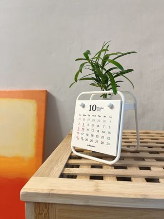 [메이크정글] 식물과 달력이 하나로, 2023년 식물캘린더 No.1 — 5점을 준 리뷰어가 2022년 10월 올린 사용 사진