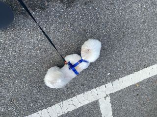 징쥬님이 올린 리뷰 사진 2