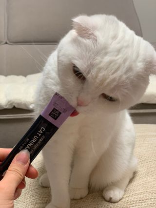 코코몰리 고양이 구강• 헤어볼 데일리 /신장• 요로 데일리 — 5점을 준 리뷰어가 2021년 3월 올린 사용 사진