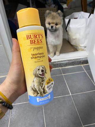재문님이 올린 리뷰 사진 2