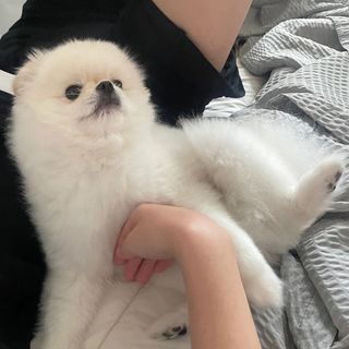 밍기님이 올린 리뷰 사진 1