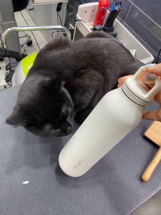 정봐기린님이 올린 리뷰 사진 2