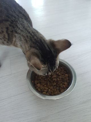 yumegom님이 올린 리뷰 사진 3