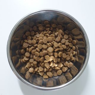 숑굥님이 올린 리뷰 사진 2