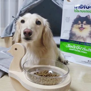 PDKIM님이 올린 리뷰 사진 1