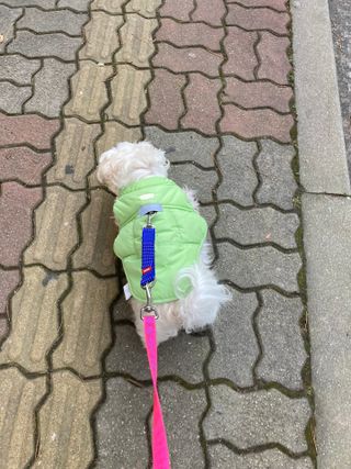 gotu01님이 올린 리뷰 사진 2