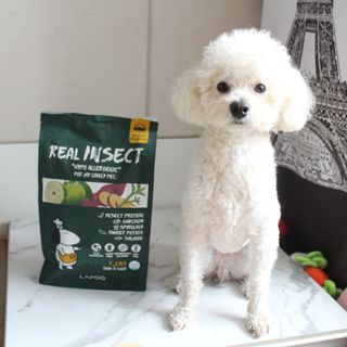 [푸디웜] 라포그  리얼인섹트 웨이트밸런스 저알러지 강아지 사료  1.2KG — 5점을 준 리뷰어가 2022년 7월 올린 사용 사진