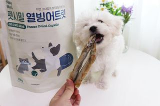[펫시밀] 원물그대로 영양듬뿍 동결건조 왕북어트릿300g,왕치킨트릿400g,열빙어트릿300g 대용량 간식 — 4.5점을 준 리뷰어가 2023년 5월 올린 사용 사진