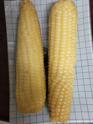 뽀오오옹님이 올린 리뷰 사진 2