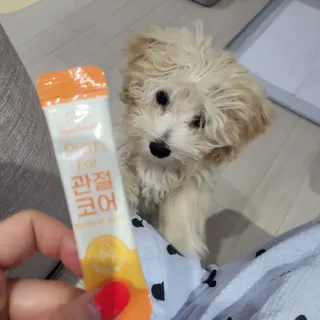 비쥬프렌즈 플랜 포 관절코어 — 5점을 준 리뷰어가 2022년 8월 올린 사용 사진