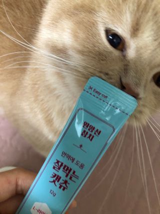 페페로니 잘 먹는 캣츄 - 원양선 참치 24개입 — 5점을 준 리뷰어가 2021년 7월 올린 사용 사진