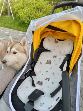 젤리님이 올린 리뷰 사진 3