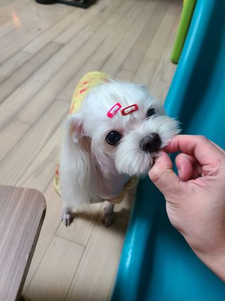 스카이보스님이 올린 리뷰 사진 3