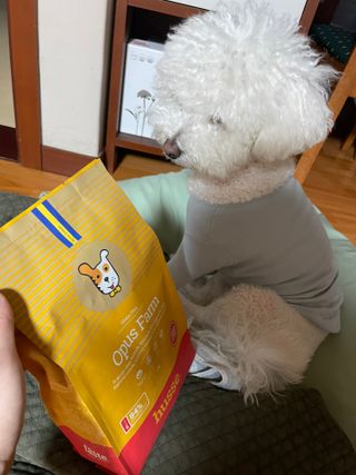 지혜님이 올린 리뷰 사진 2