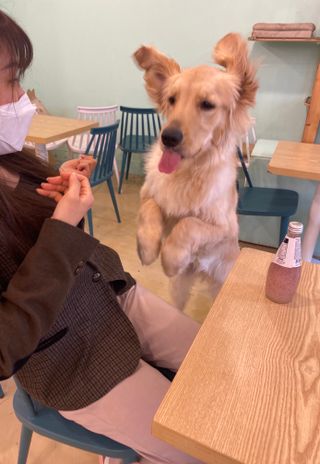 iamsusu님이 올린 리뷰 사진 2