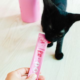 페페로니 잘 먹는 캣츄 - 알래스카 연어 24개입 — 5점을 준 리뷰어가 2021년 7월 올린 사용 사진