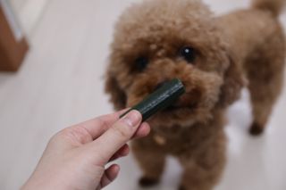 민쓰님이 올린 리뷰 사진 3