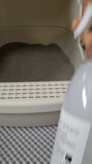 [엠메이데이] 그린티 피톤치드 감쪽같이 500ml + 손소독액 50ml — 5점을 준 리뷰어가 2022년 2월 올린 사용 사진