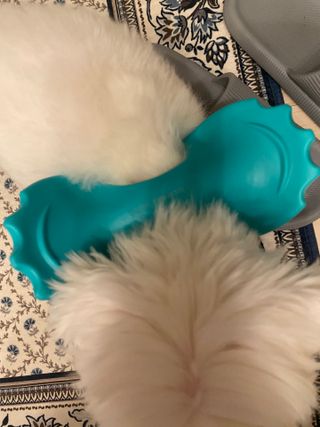 힐니스북 [힐마이넥]   거북목 통증완화를 위한 휴대용 목 안마기 — 3.5점을 준 리뷰어가 2022년 12월 올린 사용 사진