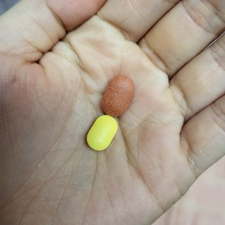 floria님이 올린 리뷰 사진 3