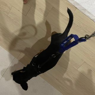 박소미님이 올린 리뷰 사진 3