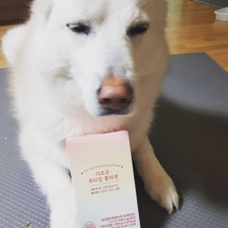 딸랑구둘🥰님이 올린 리뷰 사진 1