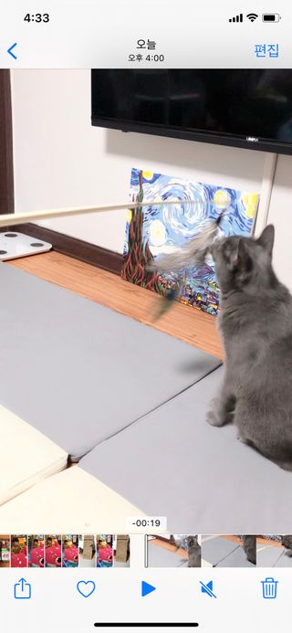 미우미우님이 올린 리뷰 사진 1